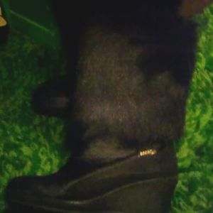 ITALIAN CALF HAIR BOOTS